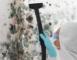 Best Mold Prevention Services  in Norwood, NJ